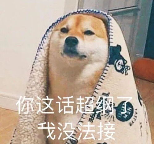 汪表情第34期丨粉丝投稿的表情包比狗哥还多