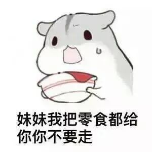 快看表情包仓鼠