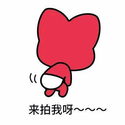 100多张微信表情包,好友都被玩疯了