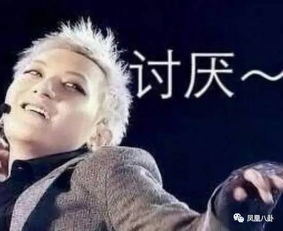 韩红说想销毁听了想打人2333,看看尔康和wuli韬韬怎么回应表情包