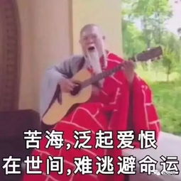 弹琴表情包包非