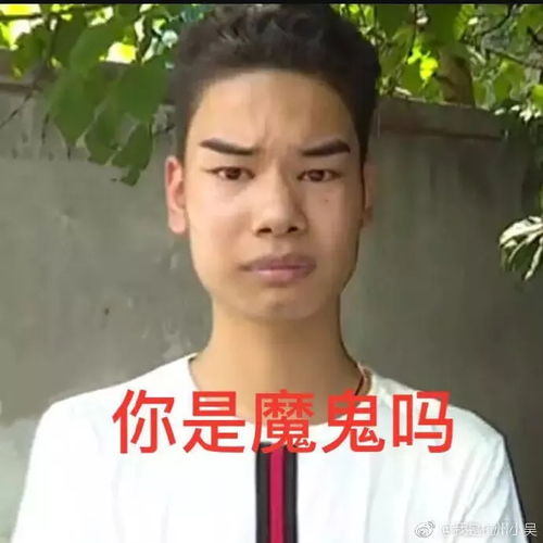 发际线男孩刷爆朋友圈他的表情包被网友们玩坏了...