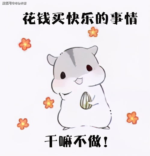 国货奋发图强,身兼两座大山,一机多用睿米擦地吸尘器nexvx