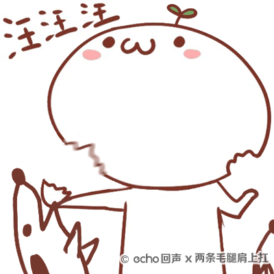动图来辣是echo堆糖,美好生活研究所