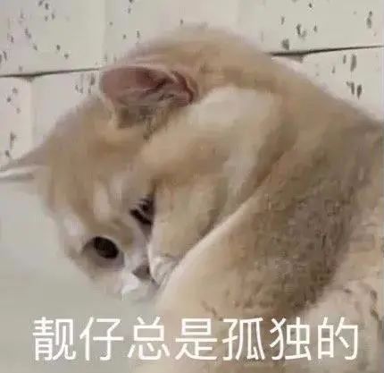 表情包洗吧,我给你把风