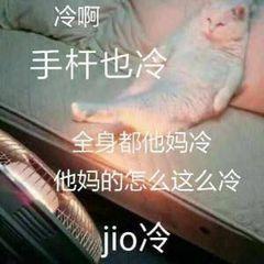 适合冬天用的沙雕表情包