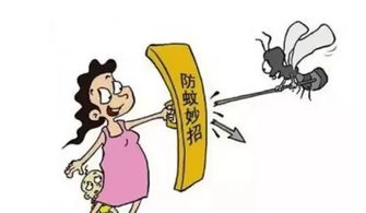 蚊子咬了奇痒难忍,怎么办