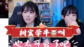 周淑怡,树奈奈,610经典表情包