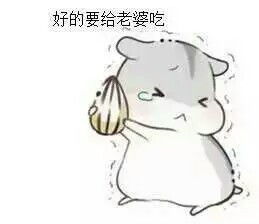 hamham情侣仓鼠表情包