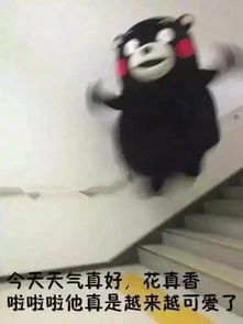 当喜欢的人不回你消息时