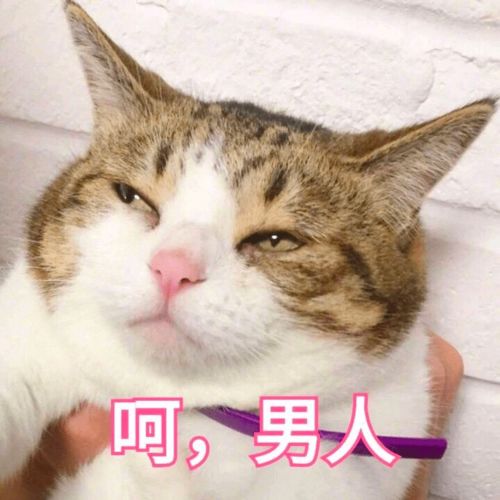 人类社交行为实验报告如何3小时和陌生人玩成情侣