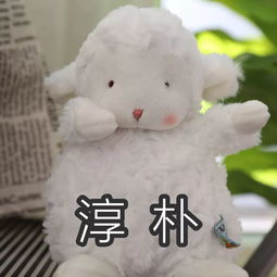 网红bunnies小羊来了,北京第家