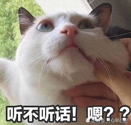 男票说我要打游戏了怎么阻止他踢几个表情包,坐等他乖乖黏你