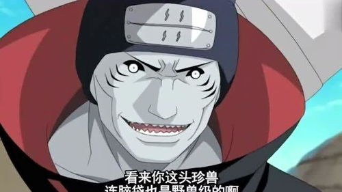 鬼鲛和凯皇第二次交手,凯的脸盲症又犯了,鼬对凯有很高的评价