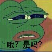 他俩3岁就精通虐狗单身鳖群体治疗术