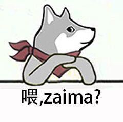 哔哩哔哩专栏