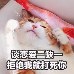 最特别搞笑的猫咪头像带文字百口难辩的时候才懂得人言可畏