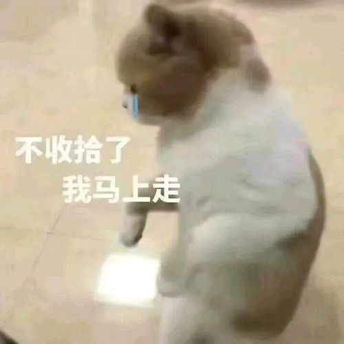 新鲜沙雕表情包