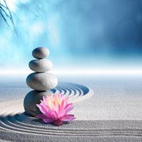 佛教莲花图片大全头像禅意意境微信头像图片大全