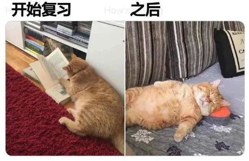 22准考研生的好习惯,你占了几条