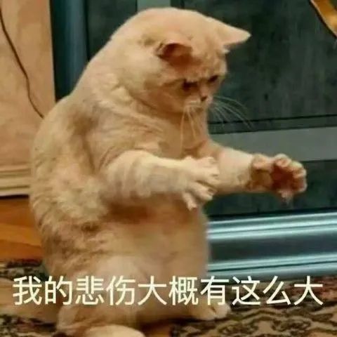 会被偷走的沙雕可爱表情包