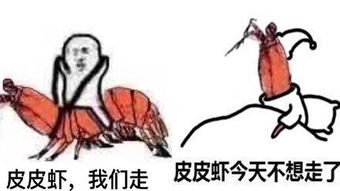 皮皮虾表情包走红突然爆红原因究竟为何手机新浪网