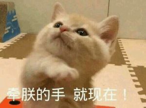 表情包牵着朕的手,就现在