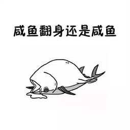 咔嚓一下就能赶走丧丧小情绪,你要不要一起来