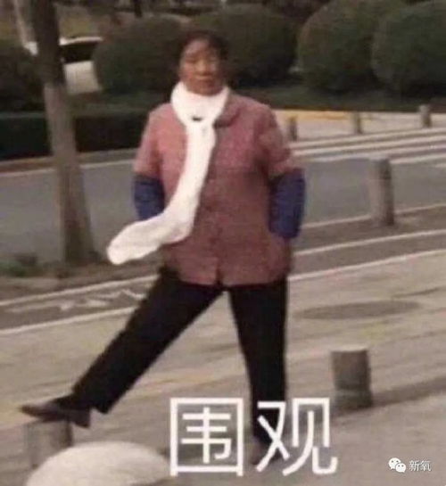 女明星参与邮轮富豪局离奇落水死亡,3000万就和解了