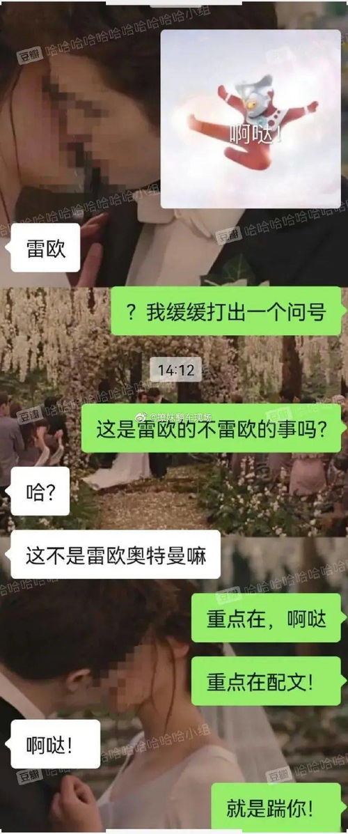 千万别给男生发奥特曼表情包聊天记录给我笑拉了