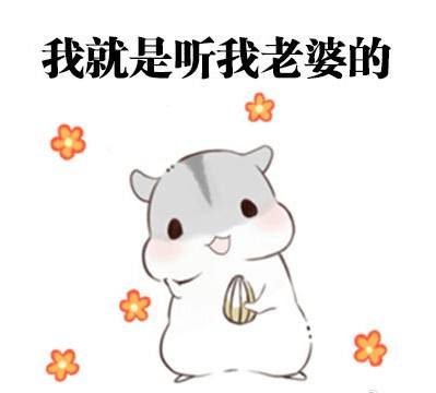 马子狗是什么梗马子狗意思出处含义介绍游戏吧