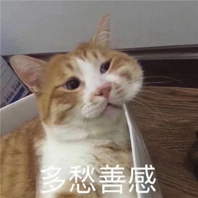 最新聊天必不可少的可爱表情沙雕到爆的微信聊天表情合集