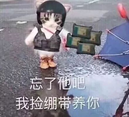 支付宝年度账单渣男的心都碎了