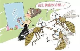 驱蚊小妙招,让您夏日无忧