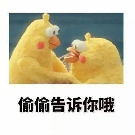 冷冷冷羽绒服棉服登登登场