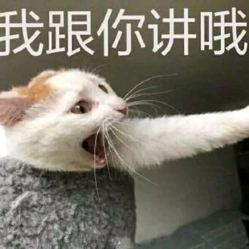 提前面试你必须参加