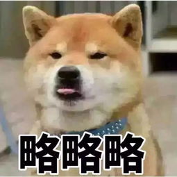 据说,七夕这天不进来玩球的人,会一辈子单身最全单身狗表情包泪奔