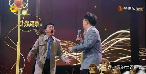 综艺节目中有哪些怼人却令人无比舒适的场景