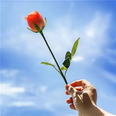 晚年不会卧床的3生肖女,寿命长,生命力强,钱财多旺夫相