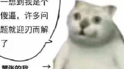 抖音跪拜表情包猫的叫声