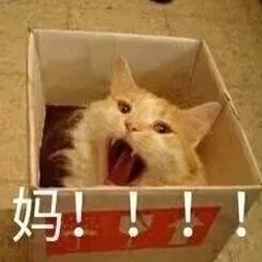 有个好玩的妈妈是种什么样的体验网友笑成了一台发动机
