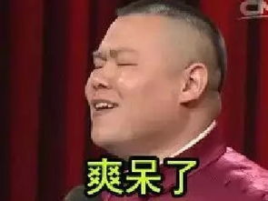叹气表情包岳云鹏