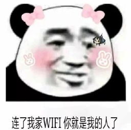 女熊猫表情包