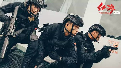 红海行动整装待发