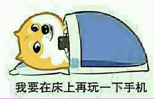 玩手机表情包到晚