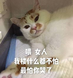 楼楼走了,他的表情包你还用吗