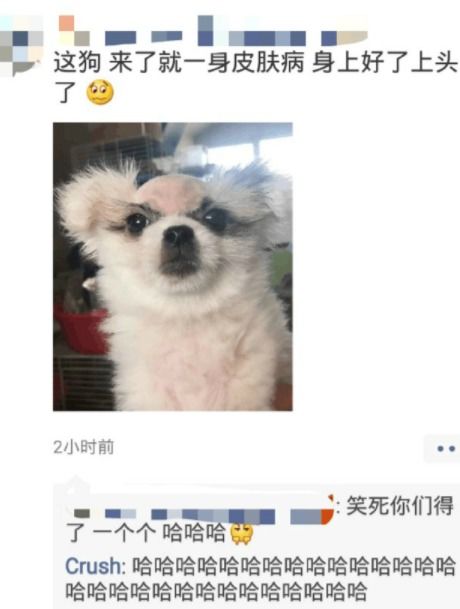 我可以给你钱但是你真的敢接吗