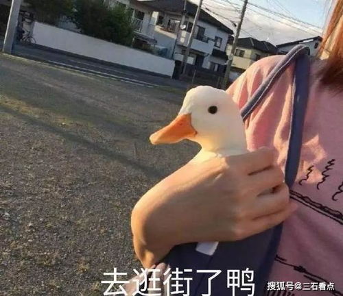 搞笑段子因为个子长得高,弄出来什么笑话