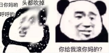 聊天必备脏话表情包你这话什么意思我不喜欢,撤回去