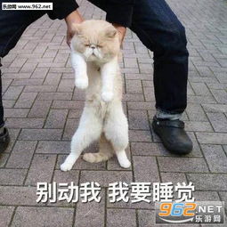 快乐就完事了表情包多喝热水少做梦表情包图片下载乐游网游戏下载